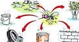 Lakhimpur News : Dengu : डेंगू बुखार