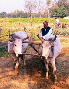 hal jotata SP neta Ayodhya